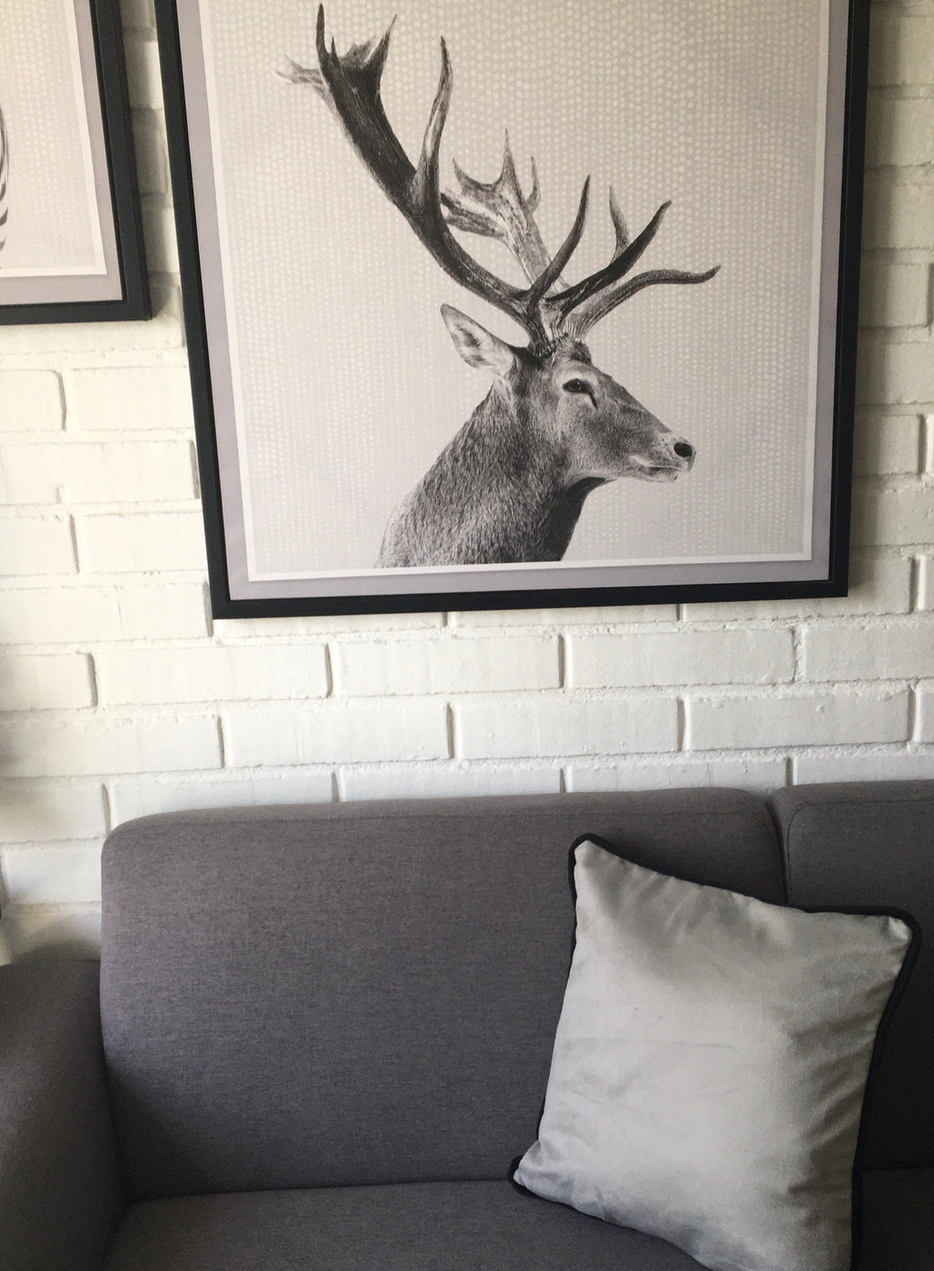 Funda Cojín Decorativo diseño Gris y borde Negro